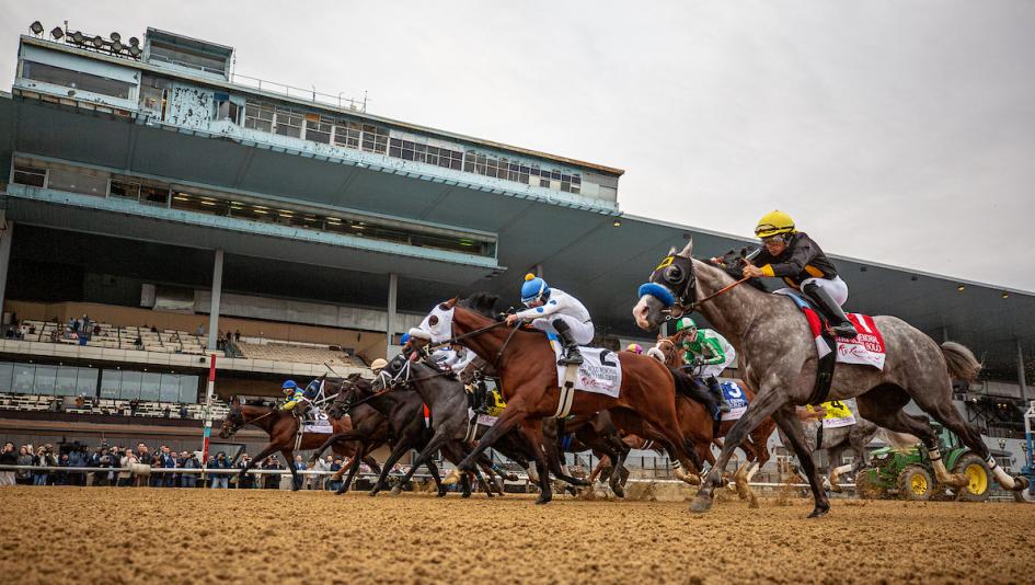 ABR Sunday Selections: Full-Card Picks for May 3 at Belmont at the Big A